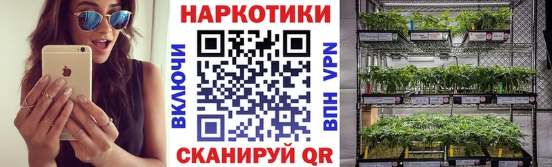 Где можно купить наркотики Реутов Псилоцибиновые грибы Меф Каннабис Cocaine