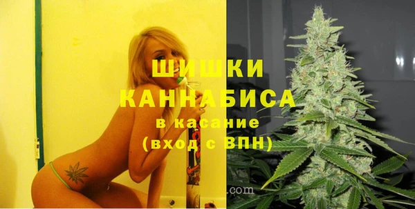 Альфа ПВП Инта